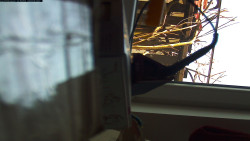 Pohled na jih, hrad Trosky