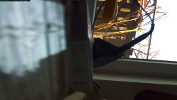 Pohled na jih, hrad Trosky