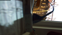 Pohled na jih, hrad Trosky