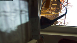 Pohled na jih, hrad Trosky