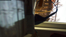 Pohled na jih, hrad Trosky