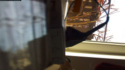 Pohled na jih, hrad Trosky