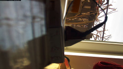 Pohled na jih, hrad Trosky