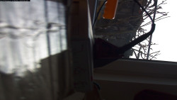 Pohled na jih, hrad Trosky