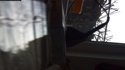 Pohled na jih, hrad Trosky