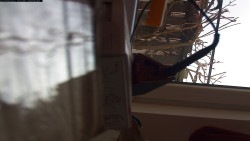 Pohled na jih, hrad Trosky