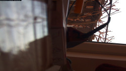 Pohled na jih, hrad Trosky