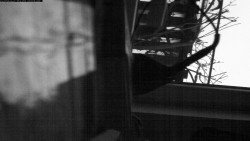 Pohled na jih, hrad Trosky