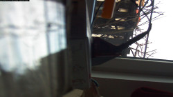 Pohled na jih, hrad Trosky