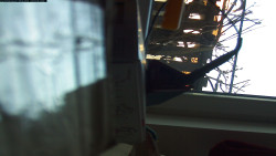 Pohled na jih, hrad Trosky