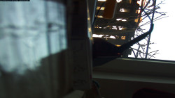 Pohled na jih, hrad Trosky