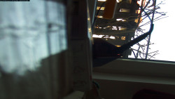 Pohled na jih, hrad Trosky