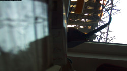 Pohled na jih, hrad Trosky