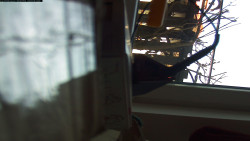 Pohled na jih, hrad Trosky