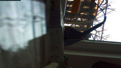 Pohled na jih, hrad Trosky