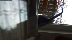 Pohled na jih, hrad Trosky