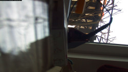 Pohled na jih, hrad Trosky