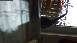 Pohled na jih, hrad Trosky