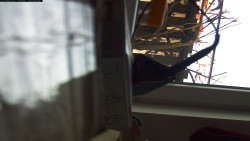 Pohled na jih, hrad Trosky