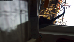 Pohled na jih, hrad Trosky