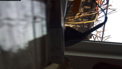 Pohled na jih, hrad Trosky