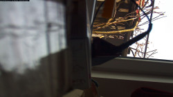 Pohled na jih, hrad Trosky