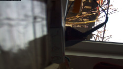 Pohled na jih, hrad Trosky