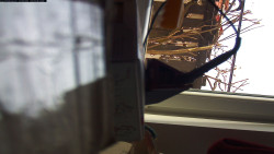 Pohled na jih, hrad Trosky