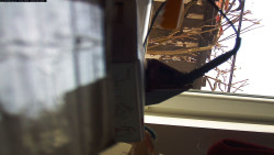 Pohled na jih, hrad Trosky