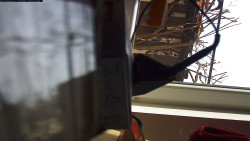 Pohled na jih, hrad Trosky