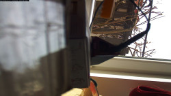 Pohled na jih, hrad Trosky