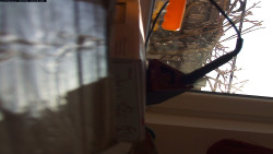 Pohled na jih, hrad Trosky