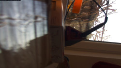 Pohled na jih, hrad Trosky