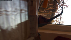 Pohled na jih, hrad Trosky