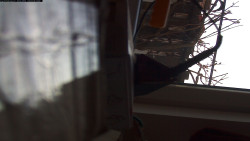 Pohled na jih, hrad Trosky