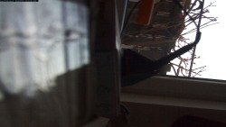 Pohled na jih, hrad Trosky