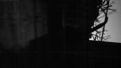 Pohled na jih, hrad Trosky