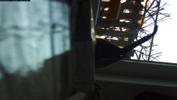 Pohled na jih, hrad Trosky