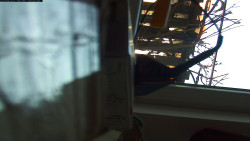 Pohled na jih, hrad Trosky