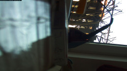 Pohled na jih, hrad Trosky