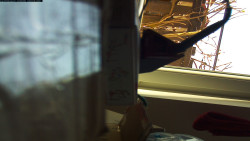 Pohled na jih, hrad Trosky