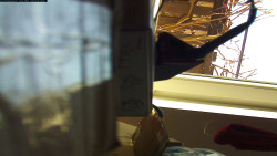 Pohled na jih, hrad Trosky