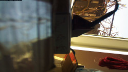 Pohled na jih, hrad Trosky