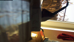 Pohled na jih, hrad Trosky