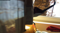 Pohled na jih, hrad Trosky