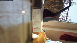 Pohled na jih, hrad Trosky