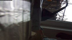 Pohled na jih, hrad Trosky