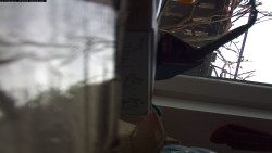 Pohled na jih, hrad Trosky