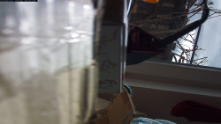 Pohled na jih, hrad Trosky