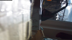 Pohled na jih, hrad Trosky